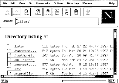 $B?^(B3 $B%5!<%P>e$G(Bnetscape$B$r<B9T$7$?;~$NMM;R(B