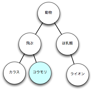 図13 こうもりの分類(1)
