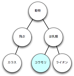 図14 こうもりの分類(2)