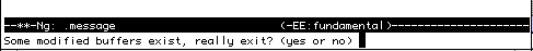 図1-15 ng (emacs) の緊急終了(2),Some modified buffers exist,really exit? (yes or no)