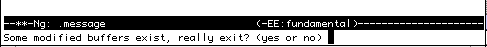 $B?^(B1-15 ng (emacs) $B$N6[5^=*N;(B(2),Some modified buffers exist,really exit? (yes or no)